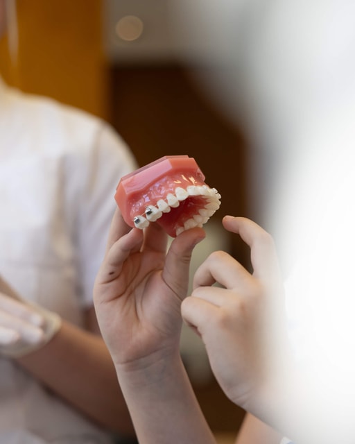 Weiße Keramik-Brackets